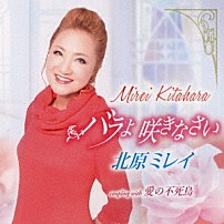 北原ミレイ 「バラよ　咲きなさい／愛の不死鳥」