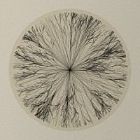 ヘリオス「 Ｕｎｏｍｉａ　（２０１７　Ｅｄｉｔｉｏｎ）」