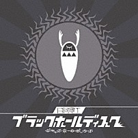 日向電工 「ブラックホールディスク」