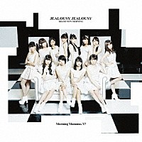 モーニング娘。’１７「 ＢＲＡＮＤ　ＮＥＷ　ＭＯＲＮＩＮＧ／ジェラシー　ジェラシー」