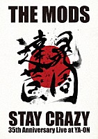 ＴＨＥ　ＭＯＤＳ「 ＳＴＡＹ　ＣＲＡＺＹ」