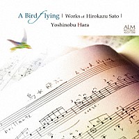 原善伸「 鳥が飛ぶ　－佐藤弘和作品集－」