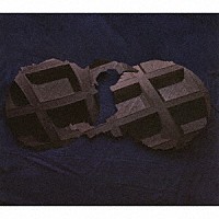 ダーティー・プロジェクターズ「 ダーティー・プロジェクターズ」