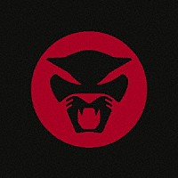 サンダーキャット「 Ｔｈｅ　Ｇｏｌｄｅｎ　Ａｇｅ　ｏｆ　Ａｐｏｃａｌｙｐｓｅ」