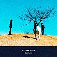 ＳＣＯＯＢＩＥ　ＤＯ 「ｅｎｓｅｍｂｌｅ」