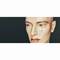 ドレスコーズ 「平凡」