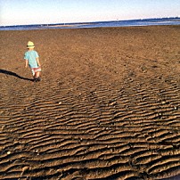 小沢健二 「流動体について」