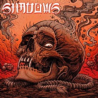 ＳＨＡＤＯＷＳ 「ｉｌｌｕｍｉｎａｔｅ」