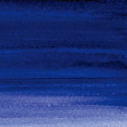 ＺＯＲＮ「なにか　＋１」