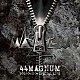 ４４ＭＡＧＮＵＭ「４４ＭＡＧＮＵＭ　２０１６　０４　０３　０４　ＳＰＥＣＩＡＬ　ＬＩＶＥ」