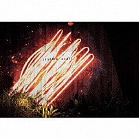 ｃｉｎｅｍａ　ｓｔａｆｆ 「熱源」