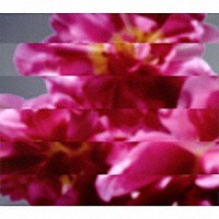 ＭＯＮＤＯ　ＧＲＯＳＳＯ「 何度でも新しく生まれる」