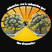 ドラマティックス「 ホワッチャ・シー・イズ・ホワッチャ・ゲット　＋１０」