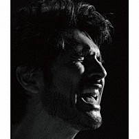 平井堅 「歌バカ２　Ｋｅｎ　Ｈｉｒａｉ　Ｓｉｎｇｌｅｓ　Ｂｅｓｔ　Ｃｏｌｌｅｃｔｉｏｎ」