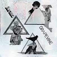 ＧＲＡＰＥＶＩＮＥ 「Ａｒｍａ」
