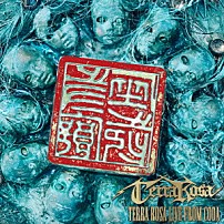 ＴＥＲＲＡ　ＲＯＳＡ 「ＴＥＲＲＡ　ＲＯＳＡ　ＬＩＶＥ　ＦＲＯＭ　ＣＯＤＡ」