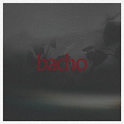 ｂａｃｈｏ「陽炎」