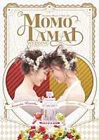 ももたまい「 ももたまい婚　ＬＩＶＥ　ＤＶＤ」