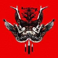 ＤＩＭＬＩＭ「 ＶＡＲＩＯＵＳ」