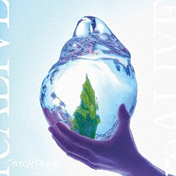 ｎｏｗｉｓｅｅ「ｒｅＡＬＩＶＥ」