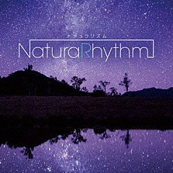 （Ｖ．Ａ．） ルドヴィコ・エイナウディ マックス・リヒター ヨハン・ヨハンソン オーラブル・アルナルズ ユップ・ベヴィン ジャーヴィス・コッカー、チリー・ゴンザレス ハンス＝ヨアヒム・レデリウス、アルノルト・カサー「ナチュラリズム～眠れない夜に」