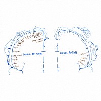 ＮＯＴ　ＷＯＮＫ「 ＰＥＮＦＩＥＬＤ」