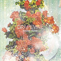 ＧＲＡＰＥＶＩＮＥ「 ＲＯＡＤＳＩＤＥ　ＰＲＯＰＨＥＴ」