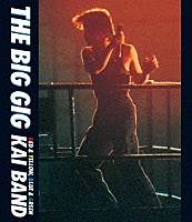 甲斐バンド「 ＴＨＥ　ＢＩＧ　ＧＩＧ」