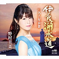 野村美菜 「伊良湖水道」