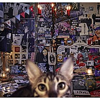 ＢＵＣＫ－ＴＩＣＫ 「ＣＡＴＡＬＯＧＵＥ　１９８７－２０１６」