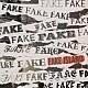 ＦＡＫＥ　ＩＳＬＡＮＤ「ＦＡＫＥ　ＩＳＬＡＮＤ」