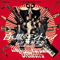 東京スカパラダイスオーケストラ 斎藤宏介 「白と黒のモントゥーノ　ｆｅａｔ．斎藤宏介（ＵＮＩＳＯＮ　ＳＱＵＡＲＥ　ＧＡＲＤＥＮ）」