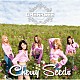 ＣＨＥＲＲＳＥＥ「Ｃｈｅｒｒｙ　Ｓｅｅｄｓ」