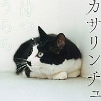 カサリンチュ「 待つ、うらら」