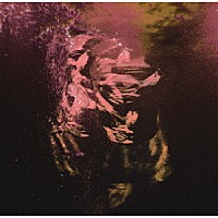 ＤＩＭＬＩＭ「 ＴＨＥ　ＳＩＬＥＮＴ　ＳＯＮＧ」