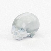 ｍｉｓｔｒｅｓｓ「 ＡＲＴＩＦＡＣＴ」