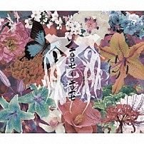 己龍 「二〇〇七～二〇一七」