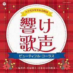 八千代少年少女合唱団「響け歌声　ビューティフル・コーラス～海の声・花は咲く・ひまわりの約束～」