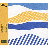 トム・ロジャーソン　ｗｉｔｈ　ブライアン・イーノ「 ファインディング・ショア」