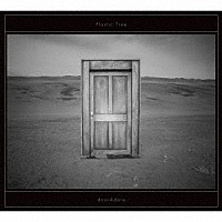 Ｐｌａｓｔｉｃ　Ｔｒｅｅ「 ｄｏｏｒＡｄｏｒｅ」