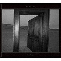 Ｐｌａｓｔｉｃ　Ｔｒｅｅ「 ｄｏｏｒＡｄｏｒｅ」