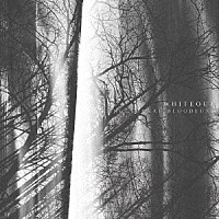 ＮＯＣＴＵＲＮＡＬ　ＢＬＯＯＤＬＵＳＴ「 ＷＨＩＴＥＯＵＴ」