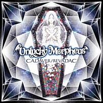 Ｕｎｌｕｃｋｙ　Ｍｏｒｐｈｅｕｓ 「ＣＡＤＡＶＥＲ／ＲＥＶＡＤＡＣ」