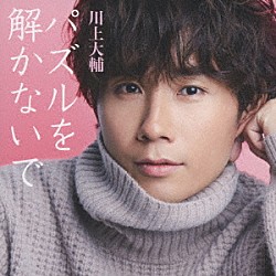 川上大輔「パズルを解かないで」