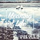 ＳＰＡＲＫ　ＳＰＥＡＫＥＲ「Ｍｅａｎｉｎｇ　ｏｆ　Ｌｉｆｅ」