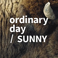 ｔａｃｉｃａ 「ｏｒｄｉｎａｒｙ　ｄａｙ／ＳＵＮＮＹ」