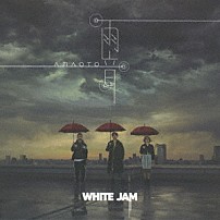 ＷＨＩＴＥ　ＪＡＭ 「雨音」
