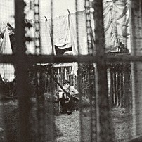 ポール・マッカートニー 「ケイオス・アンド・クリエイション・イン・ザ・バックヤード～裏庭の混沌と創造」