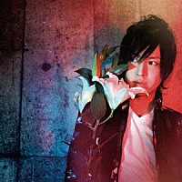 ザレディーバード「 ベルガモ」