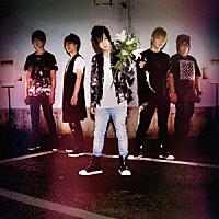 ザレディーバード「 ベルガモ」